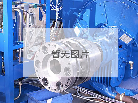 祛根防負(fù)吸抗堵塞地下滴灌灌水器技術(shù)